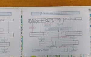 Poule de 5 en M4