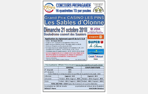 Les Sables d'Olonne 16 Q par poules TD